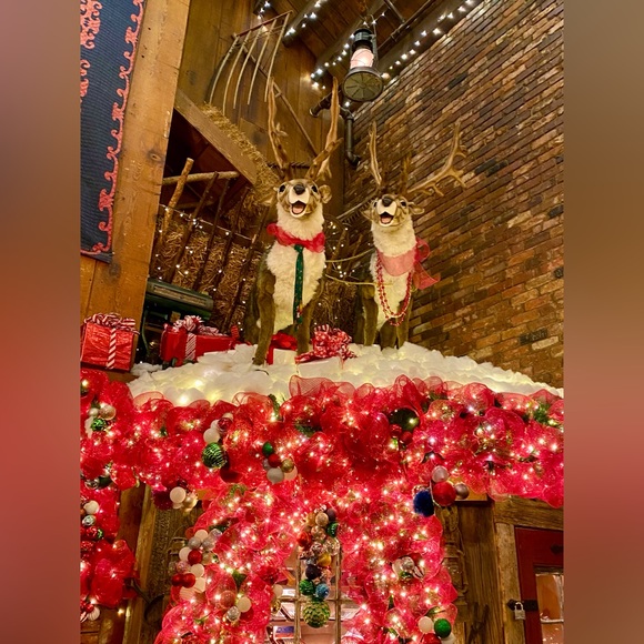 Meet your Posh Ambassador , Carolyn - Picture 2 of 16